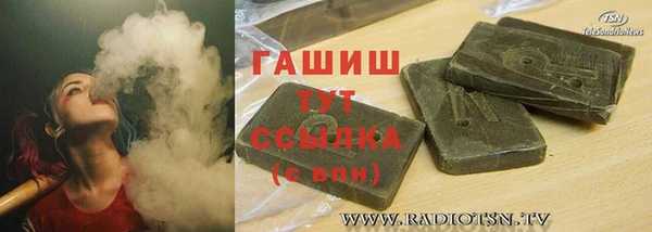шишки Магас