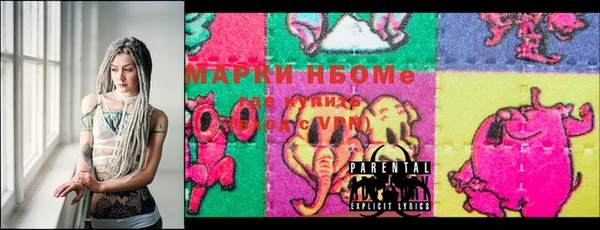 шишки Магас