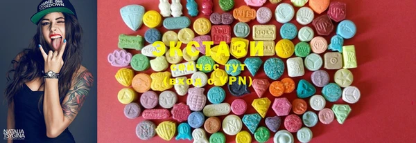 шишки Магас
