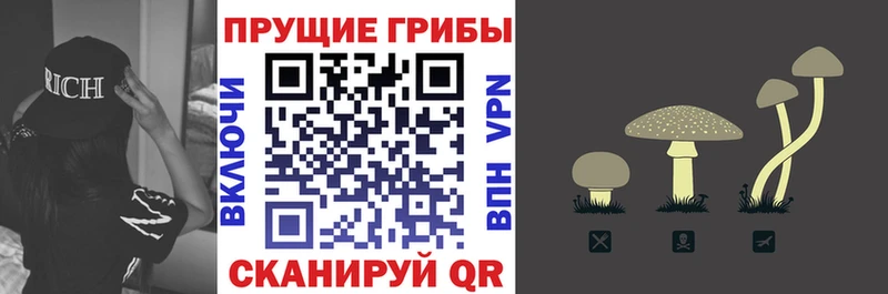 Псилоцибиновые грибы прущие грибы  купить наркотик  Верхний Уфалей 